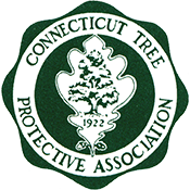 proud member of the connecticut tree protective association